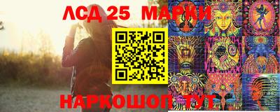 крисы Гатчина