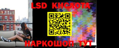 крисы Гатчина