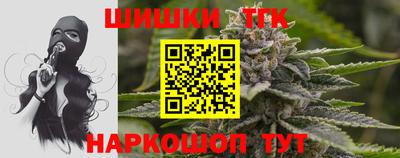 крисы Гатчина