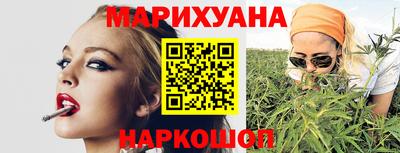 стафф Гай