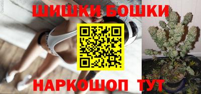 крисы Гатчина