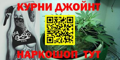 стафф Гай