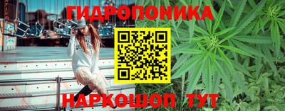 Альфа ПВП Гагарин