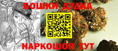 стафф Гай