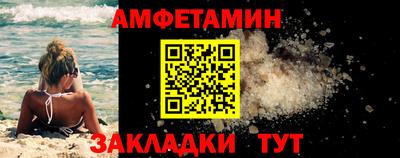 крисы Гатчина
