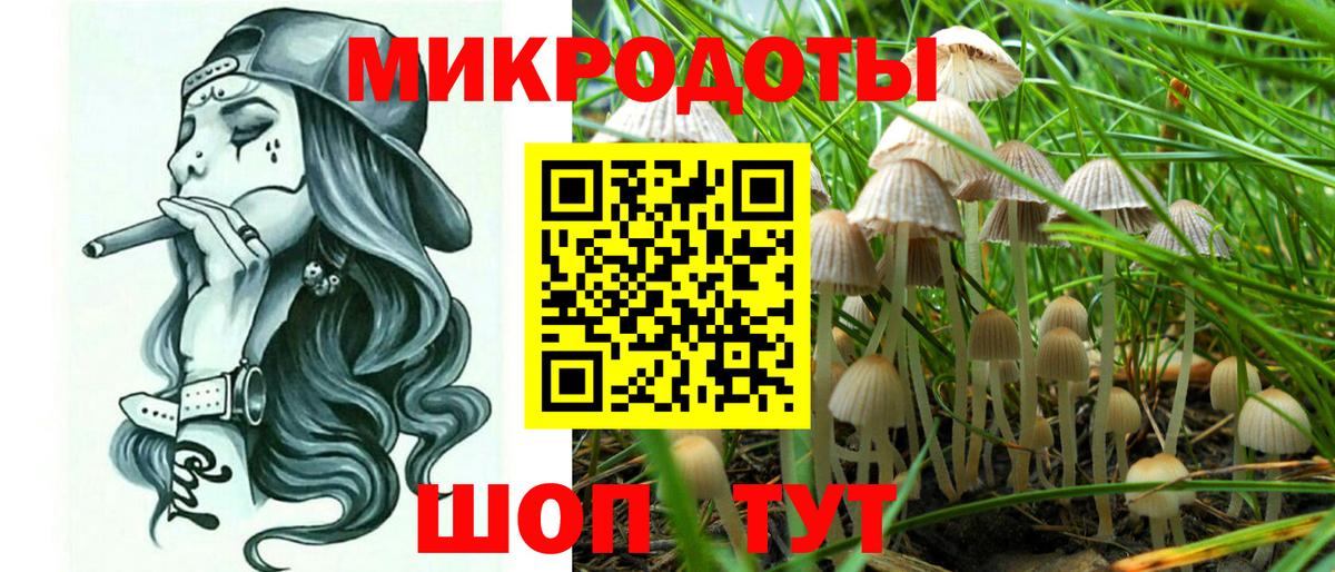Геленджик  Галлюциногенные грибы Psilocybine cubensis  Псилоцибиновые грибы Cubensis  Вход с VPN 